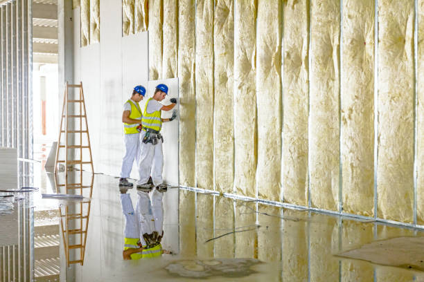 Insulation Contractors for Homes in Ballenger Creek, MD